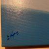 FIRMA-bucce-di-melone
